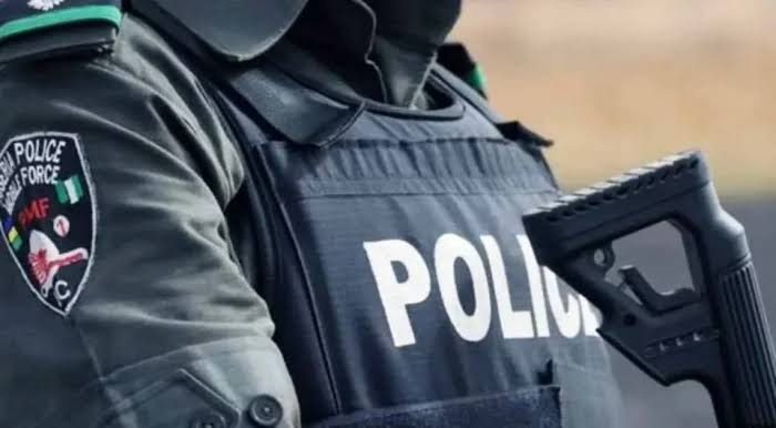 Nigeria Police Dismisses Five Inspectors Over Alleged Kidnapping and Crypto Theft